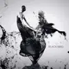 Victor Biliac - Black Bird - Single